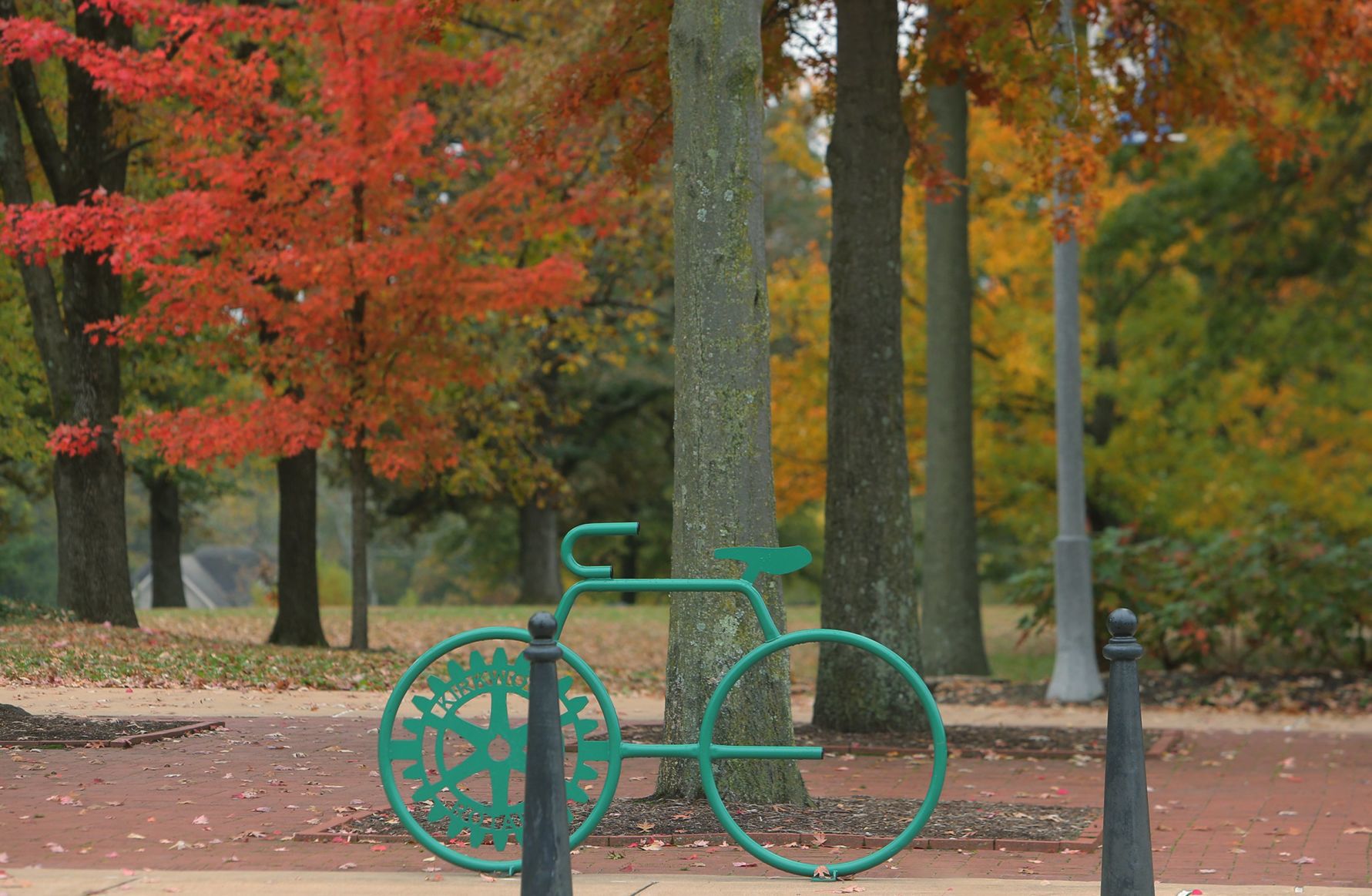 Fall Arrives in the St. Louis region